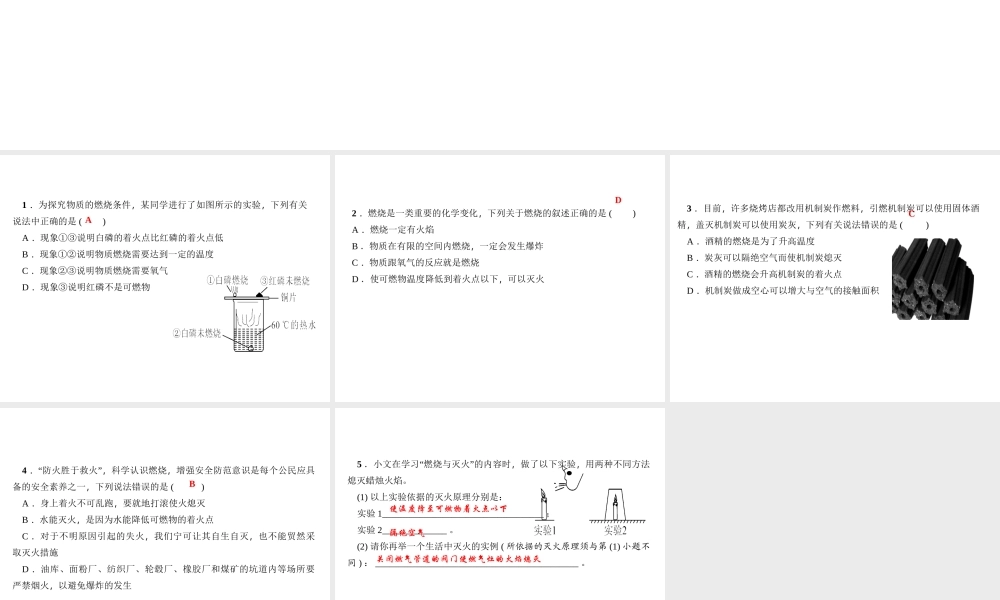 （遵义专版）秋九年级化学上册 第4单元 第1节 常见的化学反应—燃烧（小册子）作业课件 沪教版-沪教版初中九年级上册化学课件