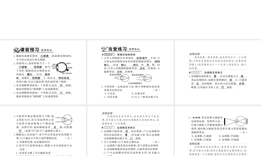 （遵义专版）八年级物理全册 第四章 多彩的光 第六节 1 眼睛和视力矫正课件 （新版）沪科版-（新版）沪科版初中八年级全册物理课件