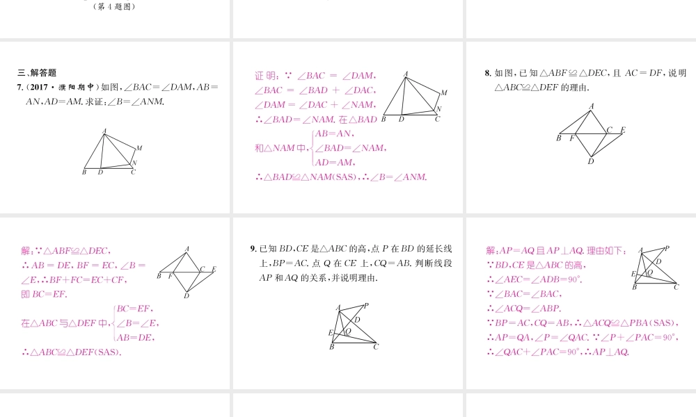 （遵义专版）八年级数学上册 专题训练一 全等三角形习题课件 （新版）新人教版-（新版）新人教版初中八年级上册数学课件