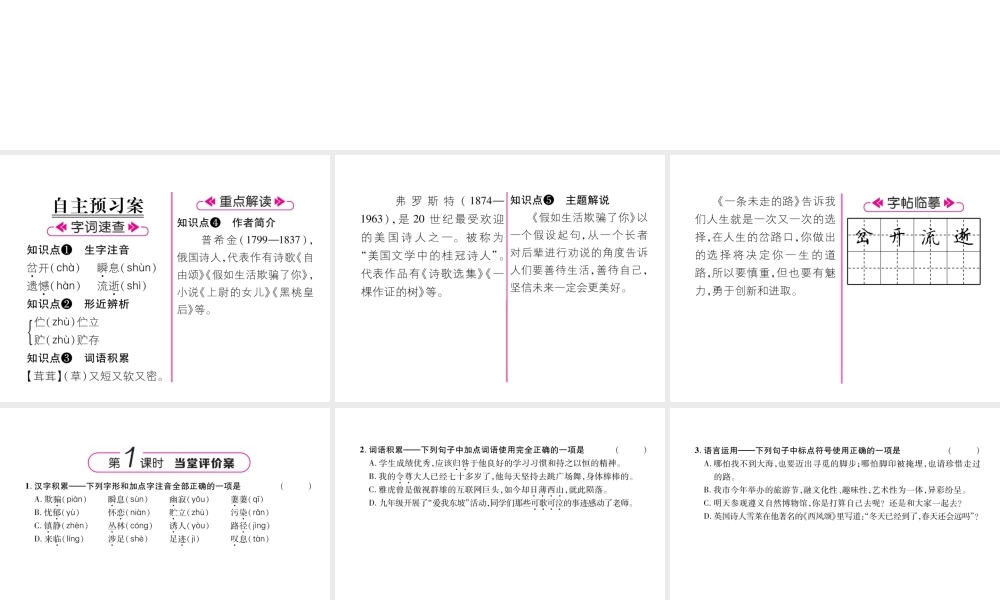 （遵义专版）九年级语文上册 4 外国诗两首课件 语文版-语文版初中九年级上册语文课件