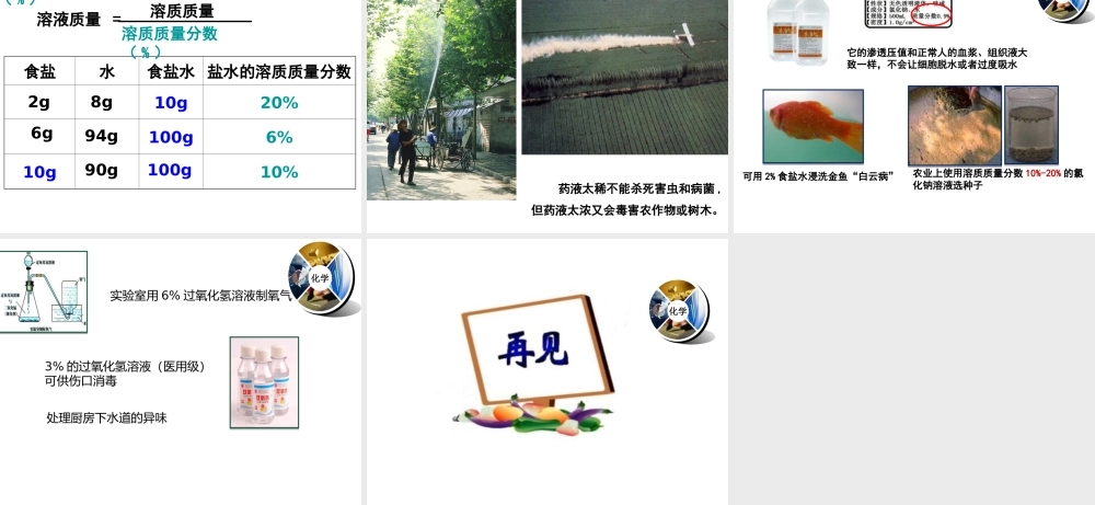 （遵义专版）秋九年级化学下册 第6章 溶解现象 第2节 溶液组成的表示（1）课件 沪教版-沪教版初中九年级下册化学课件