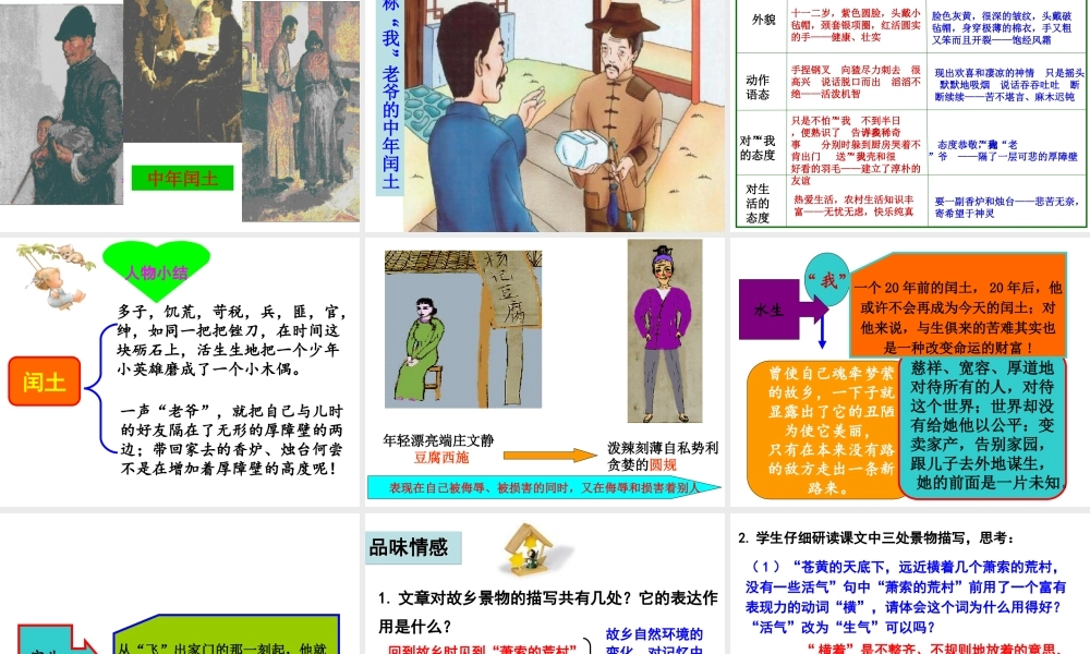 （遵义专版）八年级语文上册 第二单元 5 故乡课件 语文版-语文版初中八年级上册语文课件