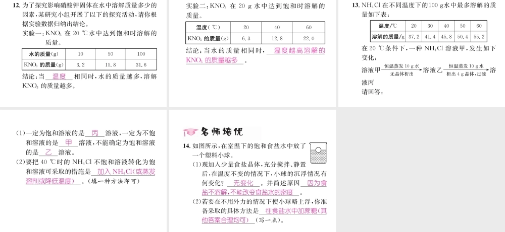 （遵义专版）秋九年级化学下册 第6章 溶解现象 第3节 物质的溶解性 第1课时 影响物质溶解性的因素习题课件 沪教版-沪教版初中九年级下册化学课件