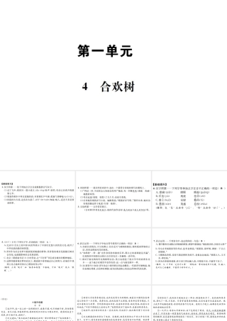 （遵义专版）八年级语文下册 第一单元 4合欢树课件 语文版-语文版初中八年级下册语文课件