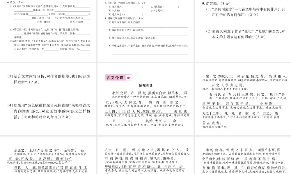 （遵义专版）九年级语文上册 20 捕蛇者说课件 语文版-语文版初中九年级上册语文课件