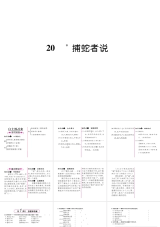 （遵义专版）九年级语文上册 20 捕蛇者说课件 语文版-语文版初中九年级上册语文课件