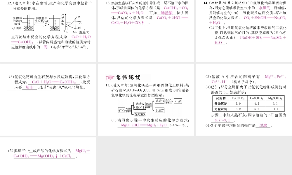 （遵义专版）秋九年级化学下册 第7章 应用广泛的酸、碱、盐 第2节 常见的酸和碱 第2课时 常见的碱习题课件 沪教版-沪教版初中九年级下册化学课件