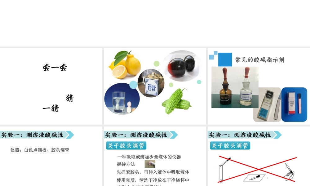 （遵义专版）秋九年级化学下册 第7章 应用广泛的酸、碱、盐 基础实验7 溶液的酸碱性课件 沪教版-沪教版初中九年级下册化学课件