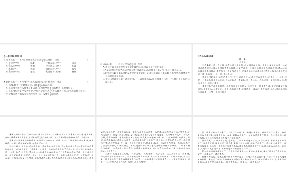 （遵义专版）九年级语文上册 第二单元 6 侯银匠小手册课件 语文版-语文版初中九年级上册语文课件
