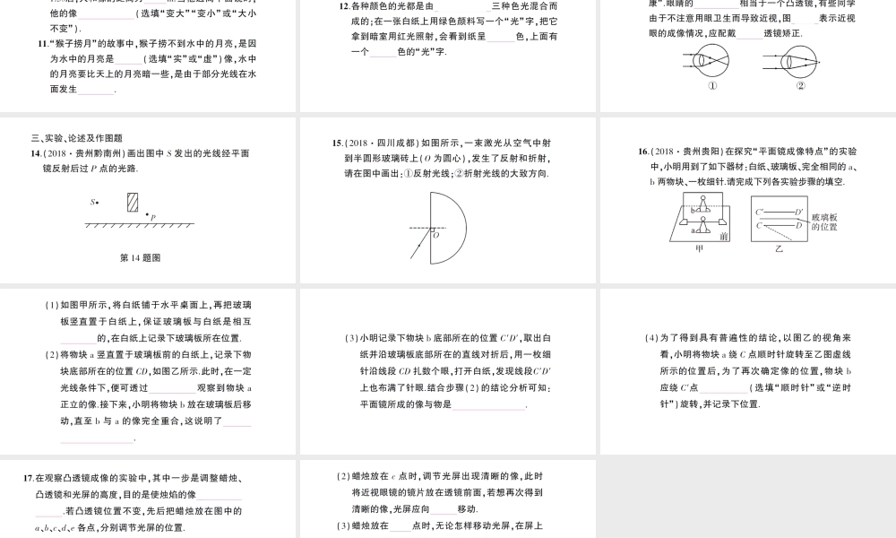 （遵义专版）八年级物理全册 期末复习（三）多彩的光习题课件 （新版）沪科版-（新版）沪科版初中八年级全册物理课件