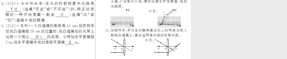 （遵义专版）八年级物理全册 期末三 多彩的光课件 （新版）沪科版-（新版）沪科版初中八年级全册物理课件