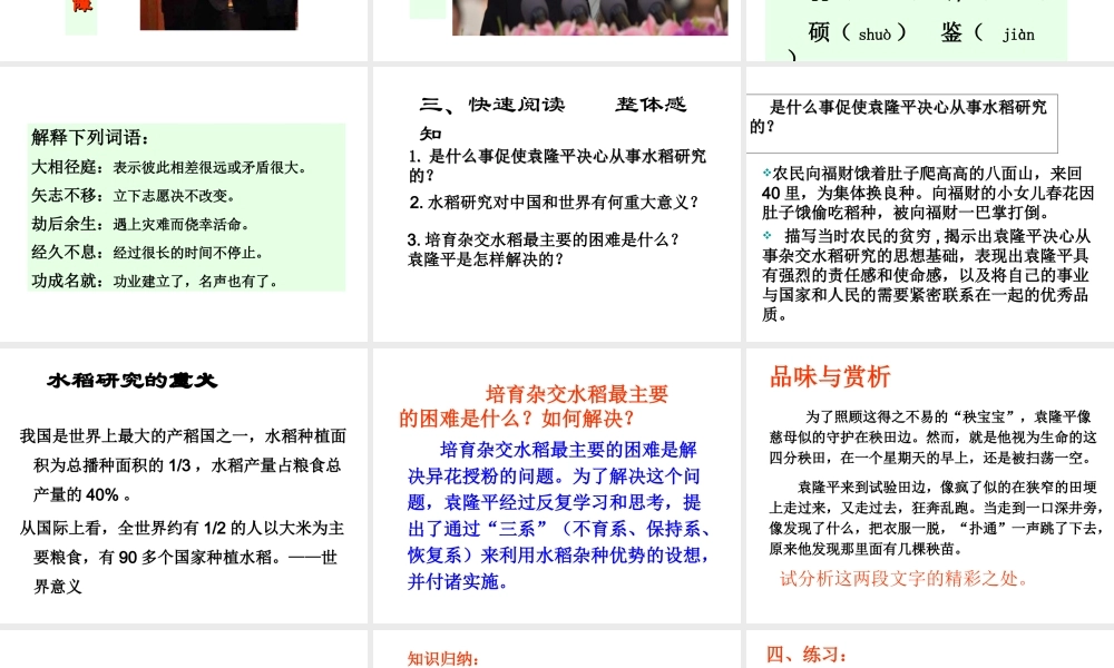 （遵义专版）八年级语文上册 第三单元 11 杂交水稻之父——袁隆平课件1 语文版-语文版初中八年级上册语文课件