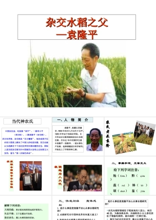 （遵义专版）八年级语文上册 第三单元 11 杂交水稻之父——袁隆平课件1 语文版-语文版初中八年级上册语文课件