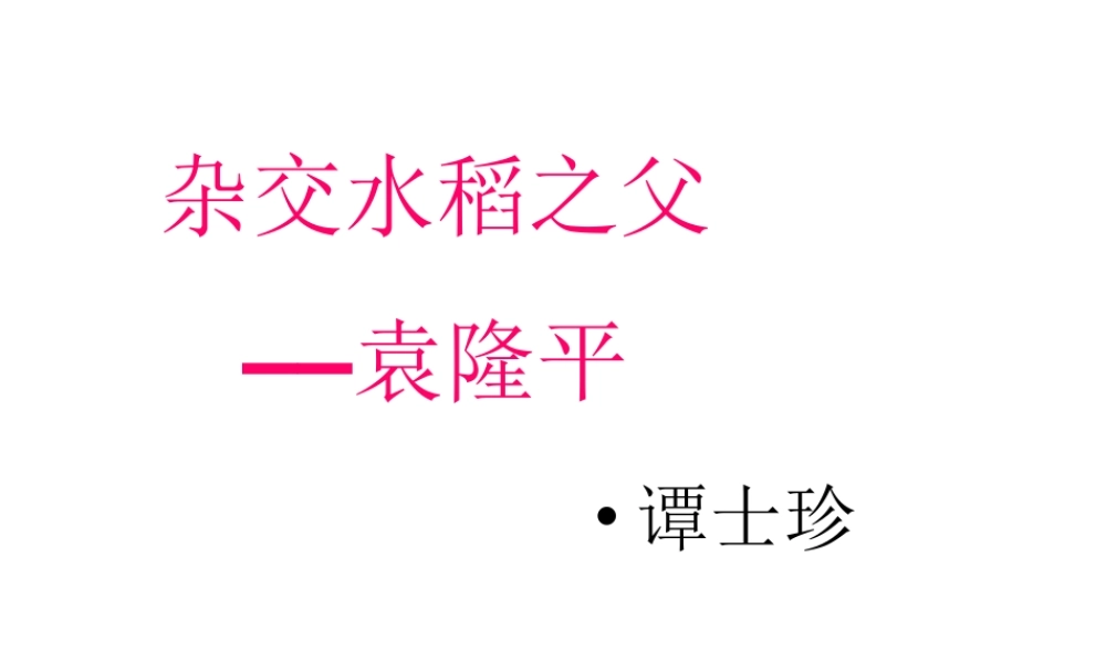 （遵义专版）八年级语文上册 第三单元 11 杂交水稻之父——袁隆平课件2 语文版-语文版初中八年级上册语文课件