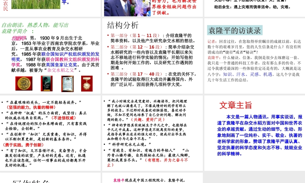 （遵义专版）八年级语文上册 第三单元 11 杂交水稻之父——袁隆平课件2 语文版-语文版初中八年级上册语文课件