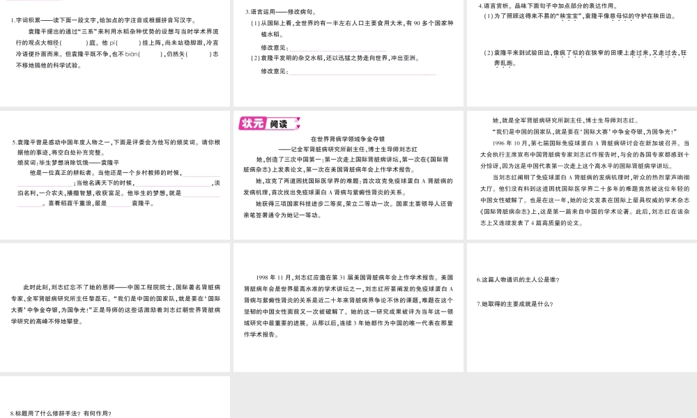 （遵义专版）八年级语文上册 第三单元 11 杂交水稻之父——袁隆平作业课件 语文版-语文版初中八年级上册语文课件