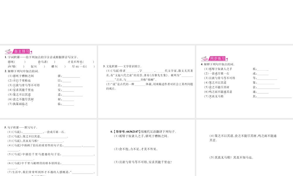 （遵义专版）九年级语文上册 第六单元 24 马说习题课件 语文版-语文版初中九年级上册语文课件