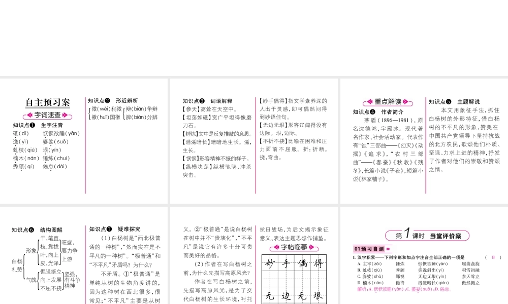 （遵义专版）八年级语文上册 第四单元 14 白杨礼赞作业课件 新人教版-新人教版初中八年级上册语文课件