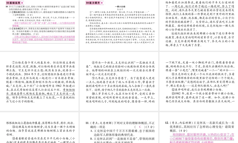 （遵义专版）八年级语文上册 第四单元 14 白杨礼赞作业课件 新人教版-新人教版初中八年级上册语文课件