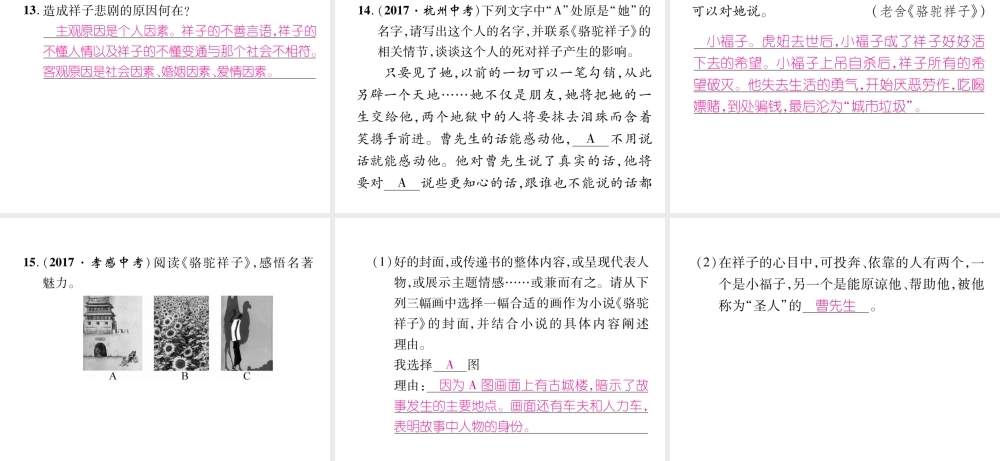 （遵义专版）七年级语文下册 第3单元名著导读《骆驼祥子《圈点与批注课件 新人教版-新人教版初中七年级下册语文课件