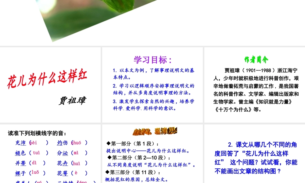 （遵义专版）八年级语文上册 第四单元 14 花儿为什么这样红课件 语文版-语文版初中八年级上册语文课件