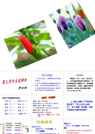（遵义专版）八年级语文上册 第四单元 14 花儿为什么这样红课件 语文版-语文版初中八年级上册语文课件