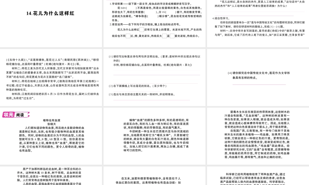 （遵义专版）八年级语文上册 第四单元 14 花儿为什么这样红作业课件 语文版-语文版初中八年级上册语文课件