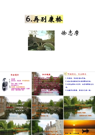 （遵义专版）九年级语文下册 第二单元 6《再别康桥》教材课件 语文版-语文版初中九年级下册语文课件