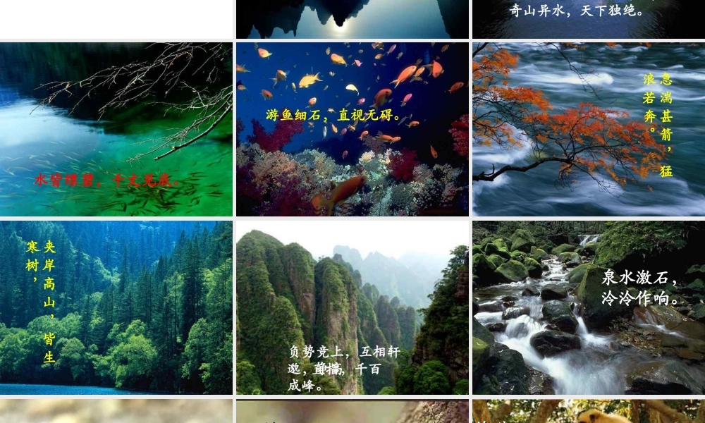 （遵义专版）九年级语文下册 第六单元 22《与朱元思书》教材课件 语文版-语文版初中九年级下册语文课件