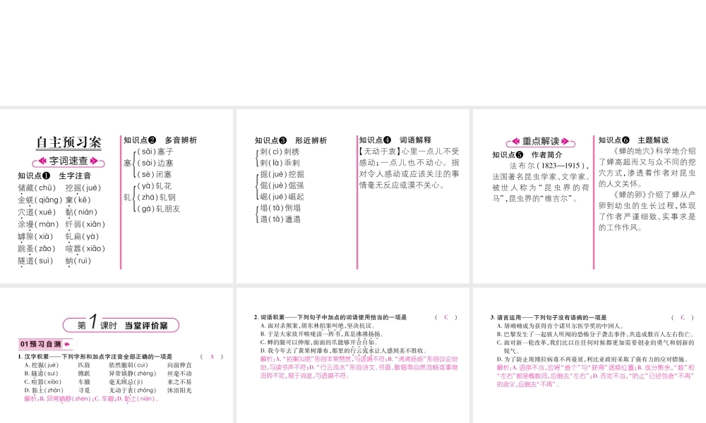 （遵义专版）八年级语文上册 第五单元 19 蝉作业课件 新人教版-新人教版初中八年级上册语文课件