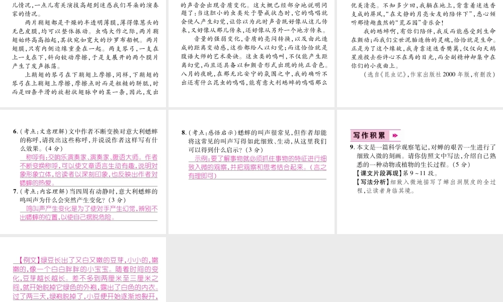 （遵义专版）八年级语文上册 第五单元 19 蝉作业课件 新人教版-新人教版初中八年级上册语文课件