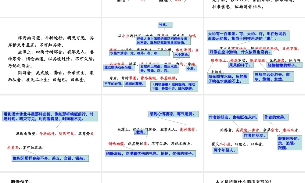 （遵义专版）八年级语文上册 第五单元 19 小石潭记课件 语文版-语文版初中八年级上册语文课件