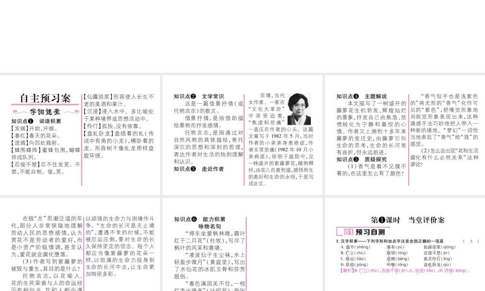 （遵义专版）七年级语文下册 第五单元 17 紫藤萝瀑布课件 新人教版-新人教版初中七年级下册语文课件