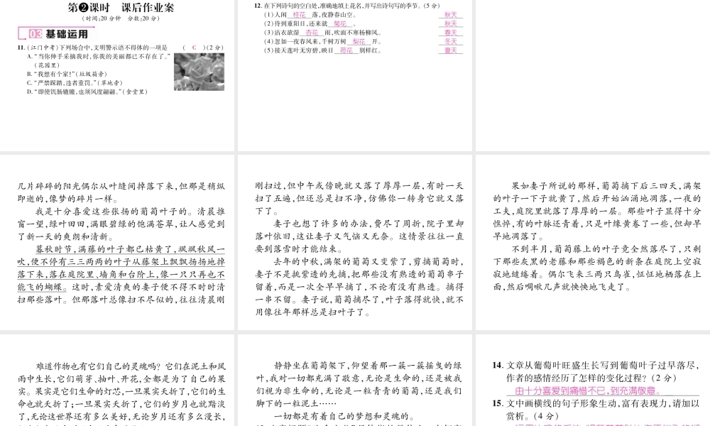 （遵义专版）七年级语文下册 第五单元 17 紫藤萝瀑布课件 新人教版-新人教版初中七年级下册语文课件