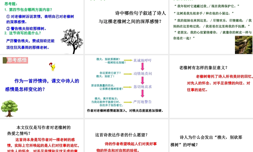 （遵义专版）八年级语文上册 第一单元 4 樵夫，别砍那棵树课件 语文版-语文版初中八年级上册语文课件