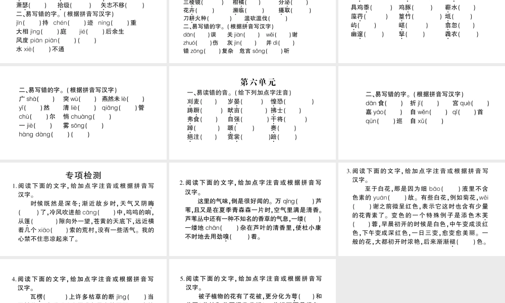 （遵义专版）八年级语文上册 期末专题一 字音与字形课件 语文版-语文版初中八年级上册语文课件