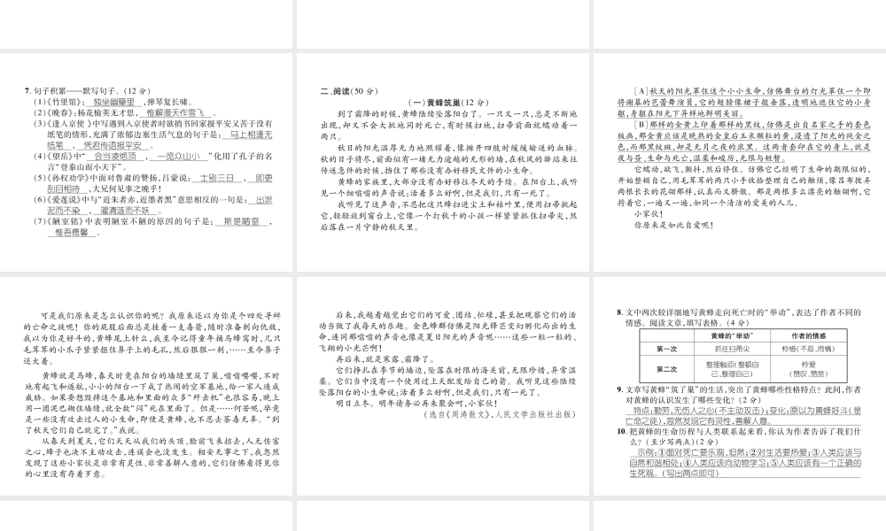 （遵义专版）七年级语文下册 期末达标测试课件 新人教版-新人教版初中七年级下册语文课件
