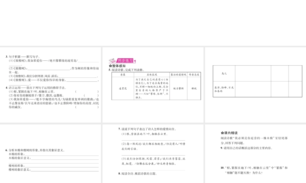 （遵义专版）九年级语文上册 第一单元 2 致橡树习题课件 语文版-语文版初中九年级上册语文课件