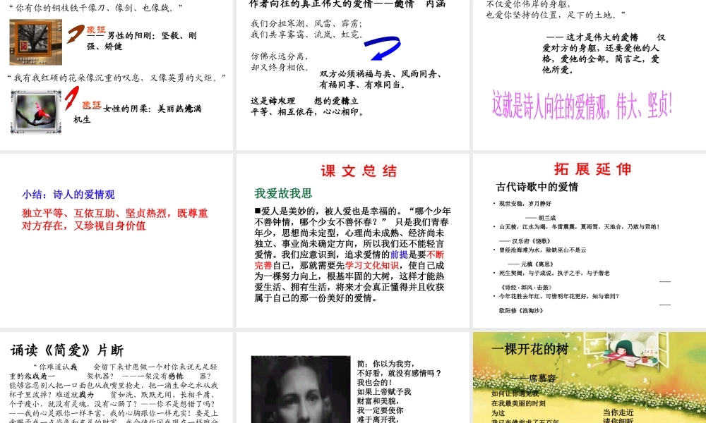 （遵义专版）九年级语文上册 第一单元 2《致橡树》教材课件 语文版-语文版初中九年级上册语文课件
