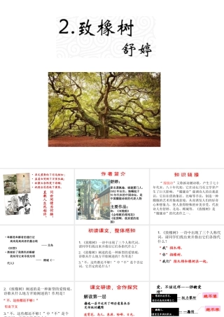 （遵义专版）九年级语文上册 第一单元 2《致橡树》教材课件 语文版-语文版初中九年级上册语文课件