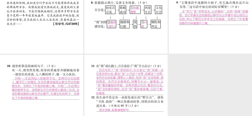 （遵义专版）九年级语文下册 第四单元 15 百合花课件 语文版-语文版初中九年级下册语文课件