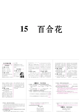 （遵义专版）九年级语文下册 第四单元 15 百合花课件 语文版-语文版初中九年级下册语文课件