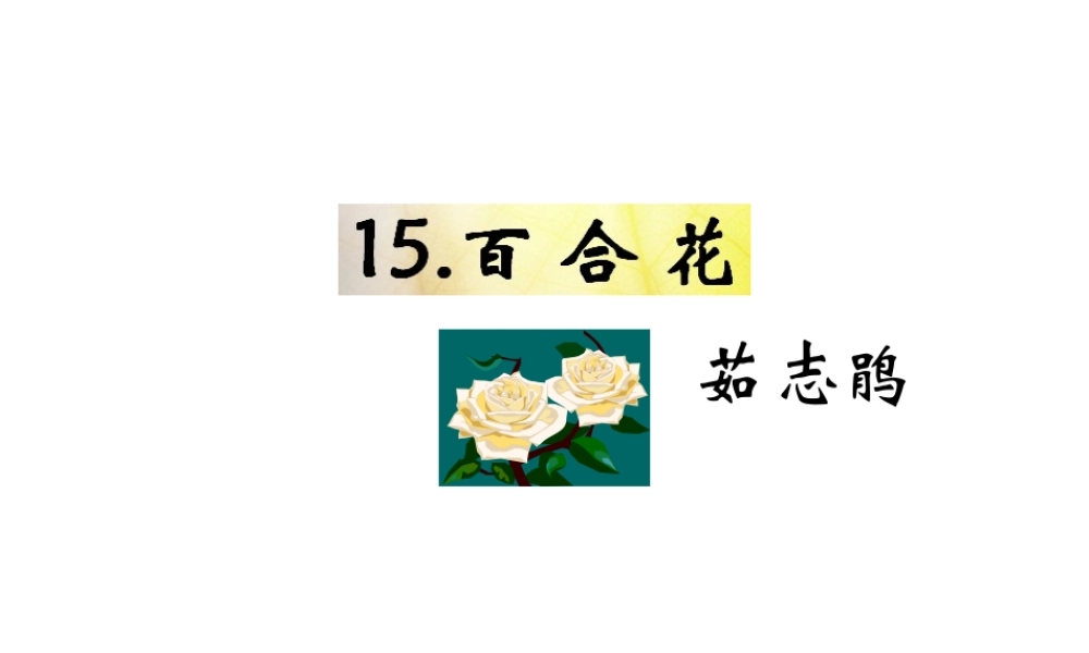 （遵义专版）九年级语文下册 第四单元 15《百合花》教材课件 语文版-语文版初中九年级下册语文课件