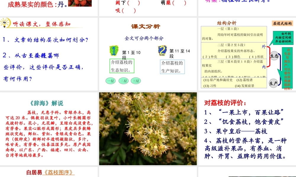 （遵义专版）九年级语文下册 第五单元 18《南州六月荔枝丹》教材课件 语文版-语文版初中九年级下册语文课件