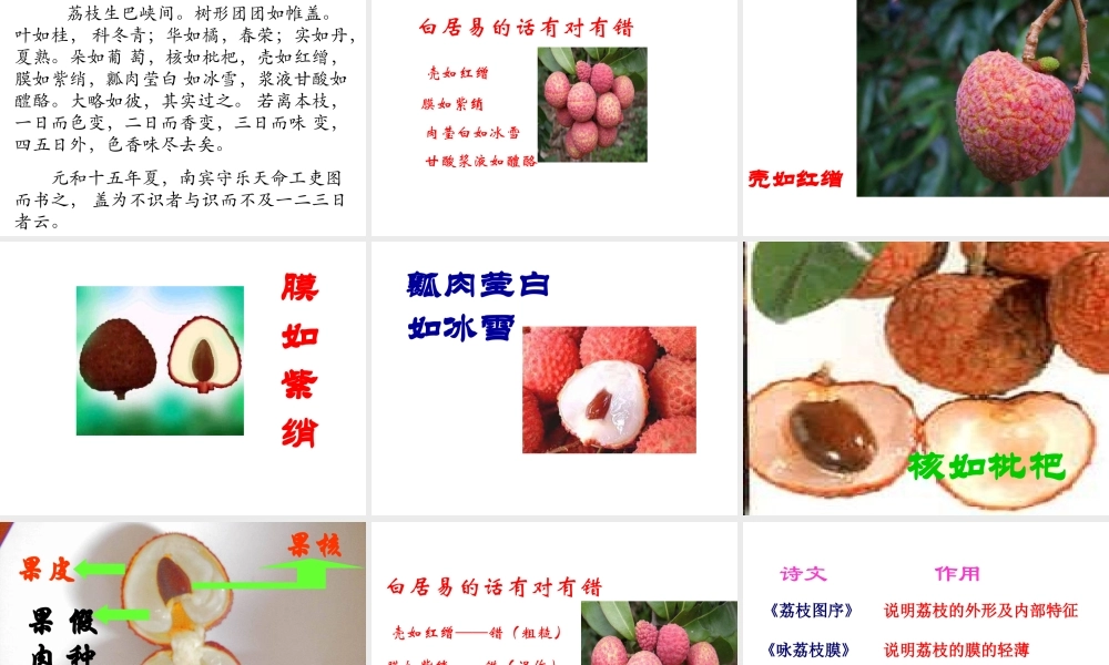 （遵义专版）九年级语文下册 第五单元 18《南州六月荔枝丹》教材课件 语文版-语文版初中九年级下册语文课件