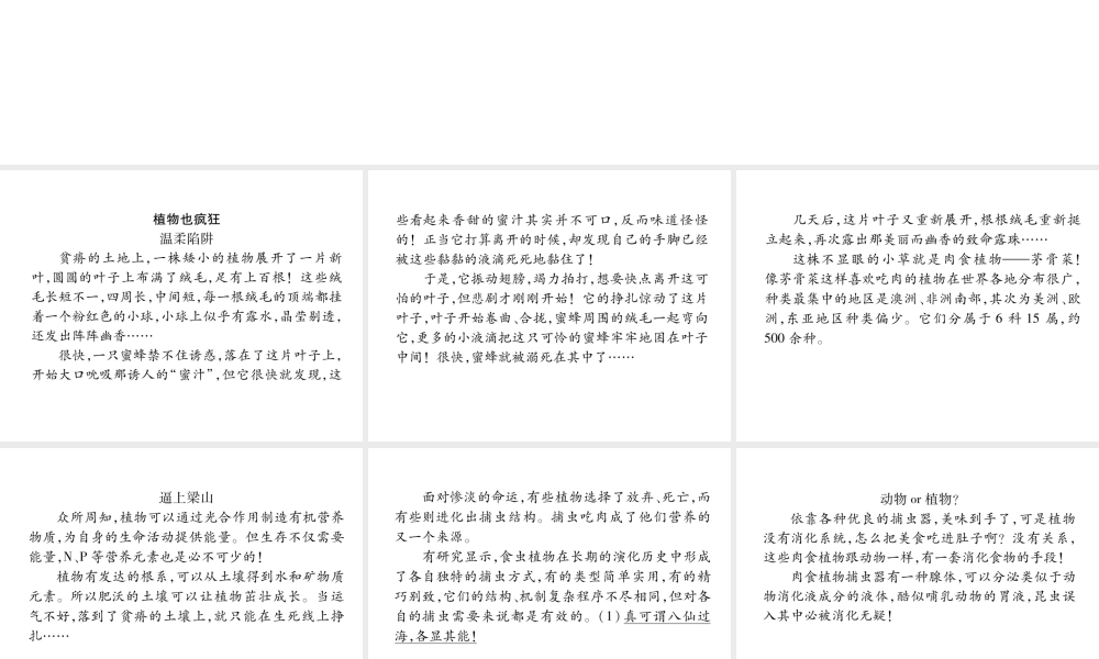 （遵义专版）九年级语文上册 双休作业（八）课件 语文版-语文版初中九年级上册语文课件