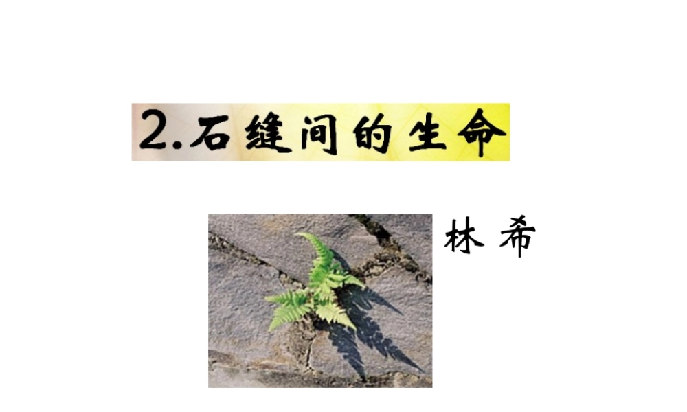 （遵义专版）九年级语文下册 第一单元 2《石缝间的生命》教材课件 语文版-语文版初中九年级下册语文课件