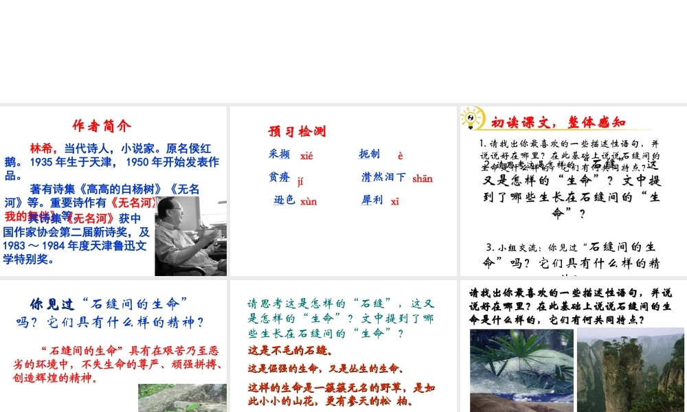 （遵义专版）九年级语文下册 第一单元 2《石缝间的生命》教材课件 语文版-语文版初中九年级下册语文课件