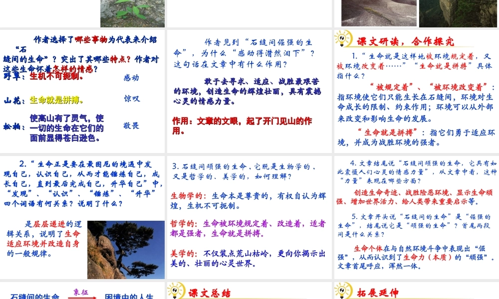 （遵义专版）九年级语文下册 第一单元 2《石缝间的生命》教材课件 语文版-语文版初中九年级下册语文课件