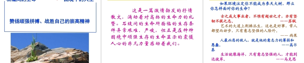 （遵义专版）九年级语文下册 第一单元 2《石缝间的生命》教材课件 语文版-语文版初中九年级下册语文课件